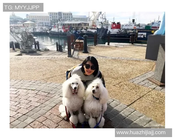 足球明星与萌犬同框瞬间展现温馨友谊与运动魅力 足球明星与萌犬同框瞬间展现温馨友谊与运动魅力